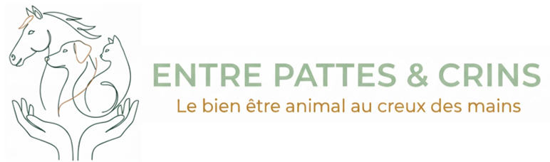 Entre pattes et crins
