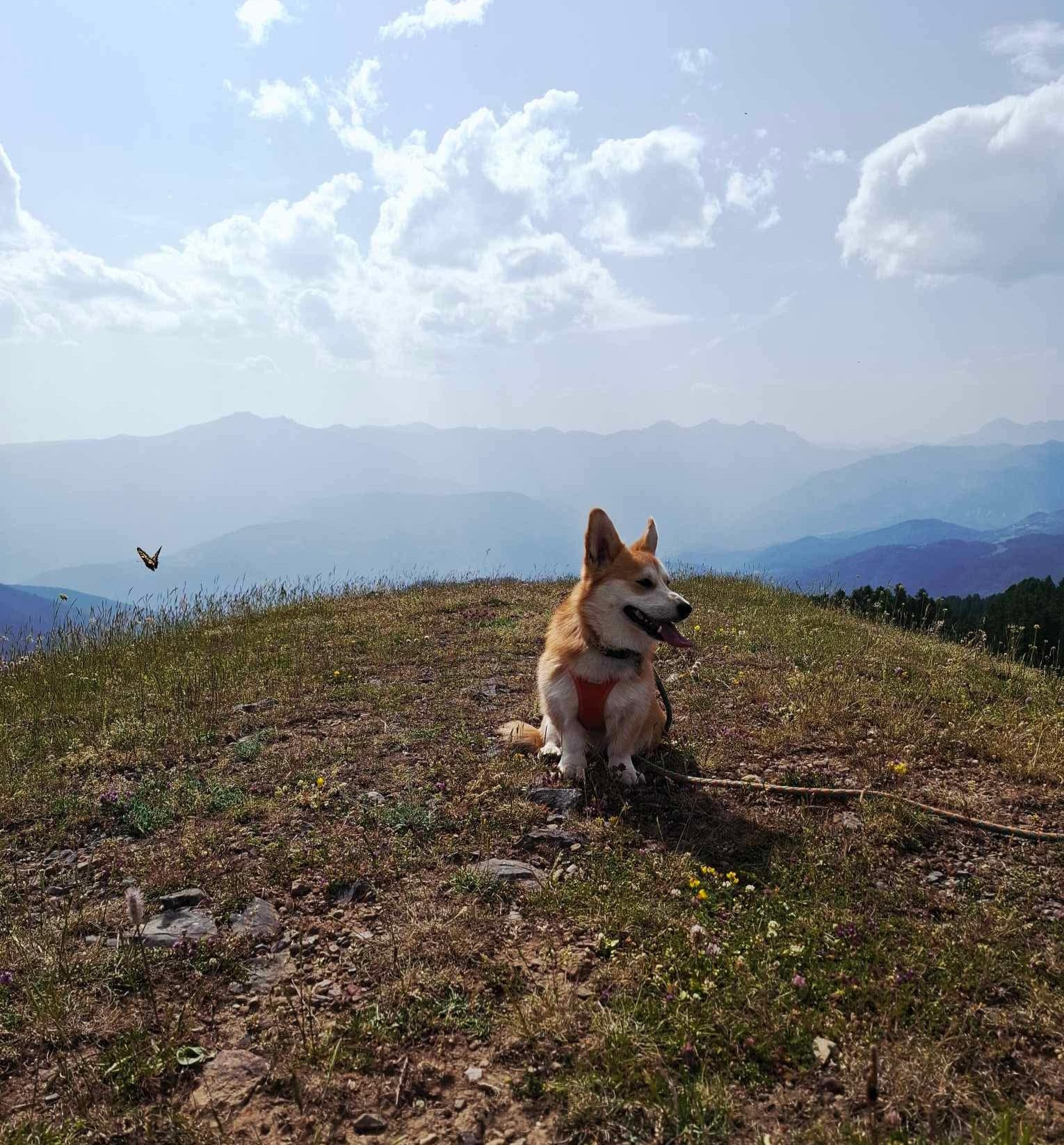Maggie en balade